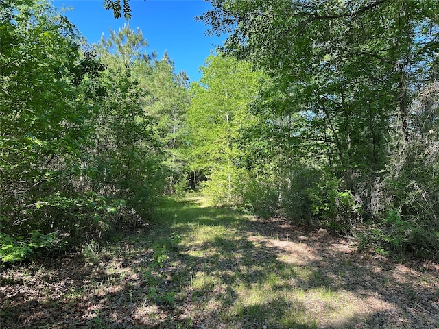 Listing photo 2 for 0 Hardy Bottom Rd, Huntsville TX 77340