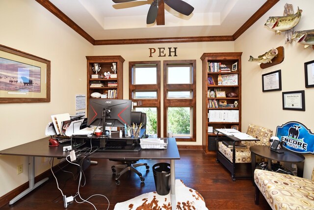 office featuring dark hardwood / wood-style floors, a raised ceiling, and ceiling fan