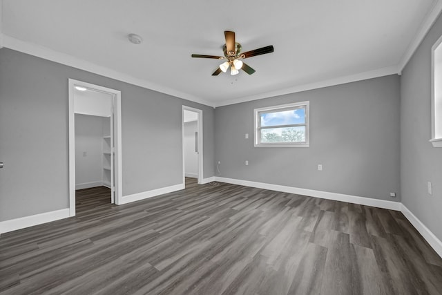 unfurnished bedroom featuring a spacious closet, dark wood-type flooring, ceiling fan, a closet, and ornamental molding