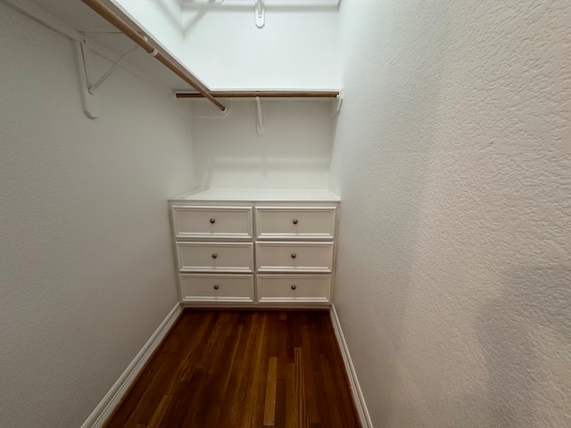 spacious closet featuring dark hardwood / wood-style flooring