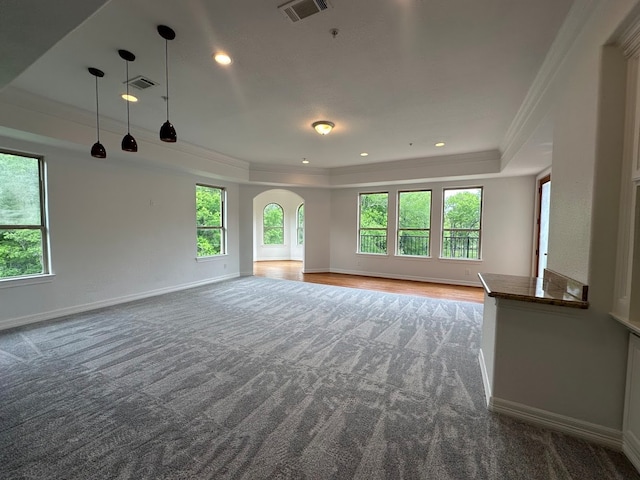 interior space with crown molding, carpet flooring, and a tray ceiling