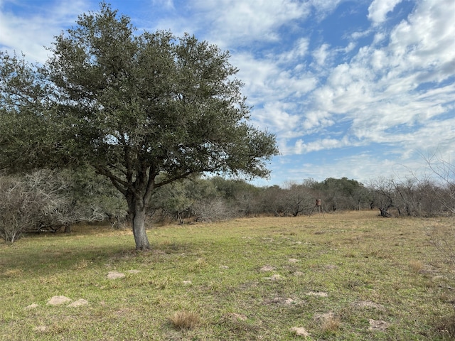 Listing photo 3 for 0 Schubert Rd, Victoria TX 77905