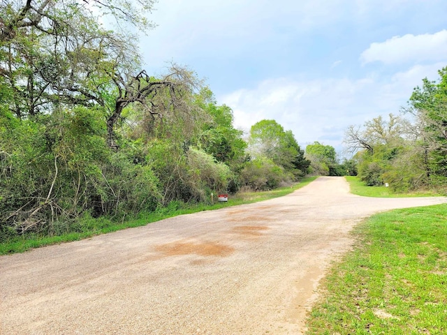 26480 Deerwood Dr, Hempstead TX, 77445 land for sale