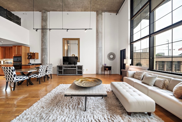 living room with light hardwood / wood-style flooring and a high ceiling