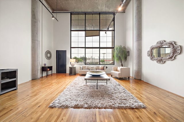 living room featuring a towering ceiling and light hardwood / wood-style floors