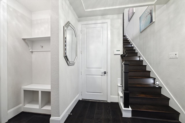 mudroom featuring dark wood-type flooring