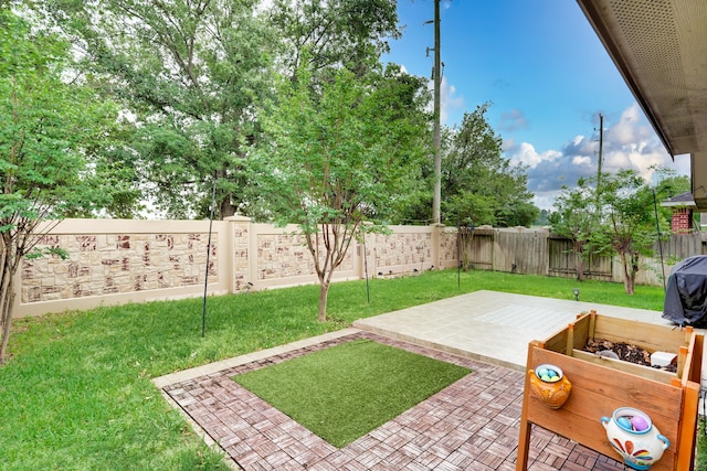 view of yard featuring a patio