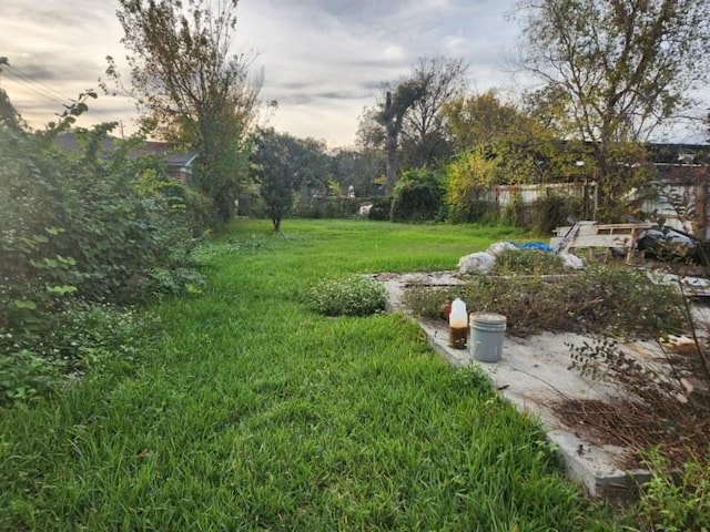 view of yard at dusk