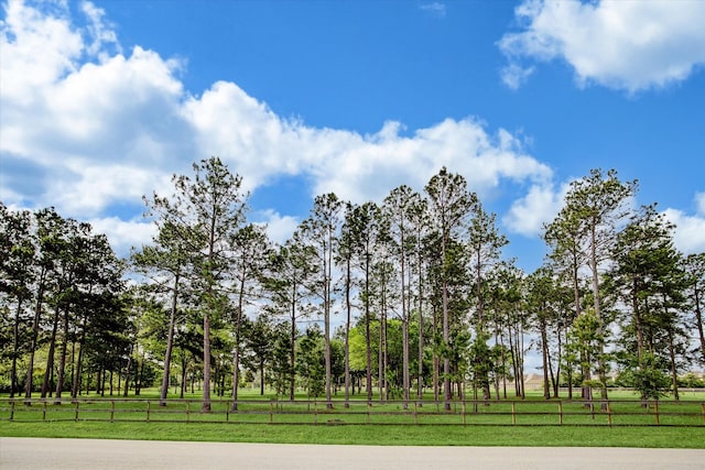 Listing photo 2 for 0 Willow Ln, Katy TX 77494