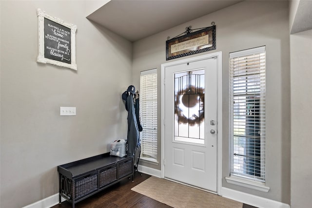 foyer featuring dark hardwood / wood-style floors