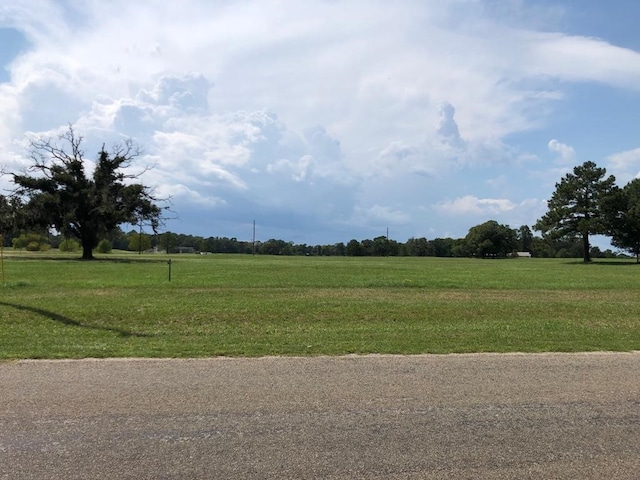 Listing photo 2 for LOT3 Tara Dr, Trinity TX 75862