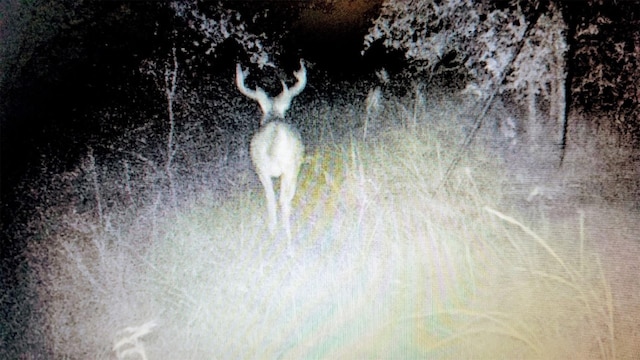 0 Sandy Creek Rd, Garwood, TX 77442