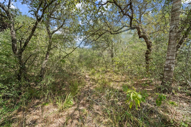 0 Sandy Creek Rd, Garwood, TX 77442