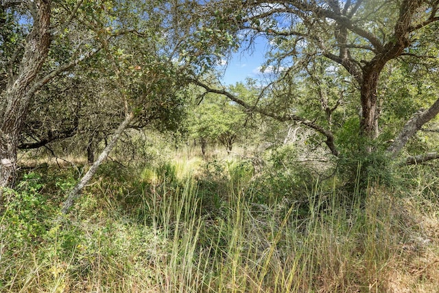 0 Sandy Creek Rd, Garwood, TX 77442