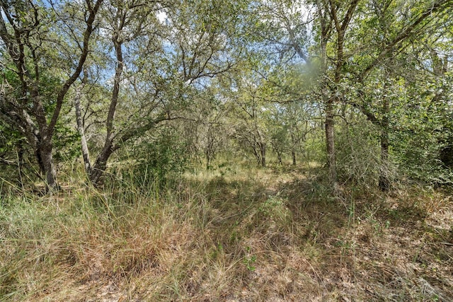 0 Sandy Creek Rd, Garwood, TX 77442