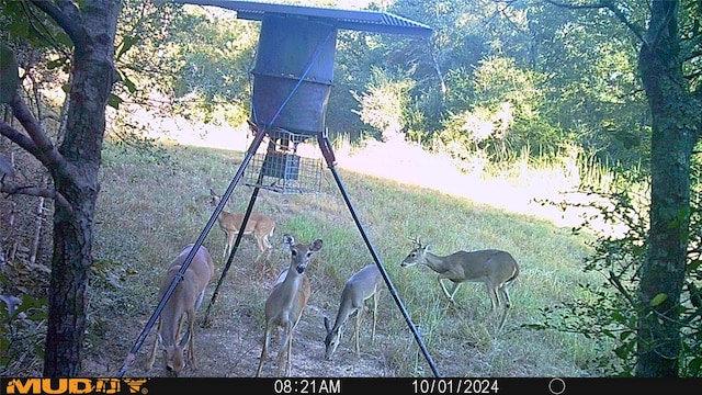 0 Sandy Creek Rd, Garwood, TX 77442