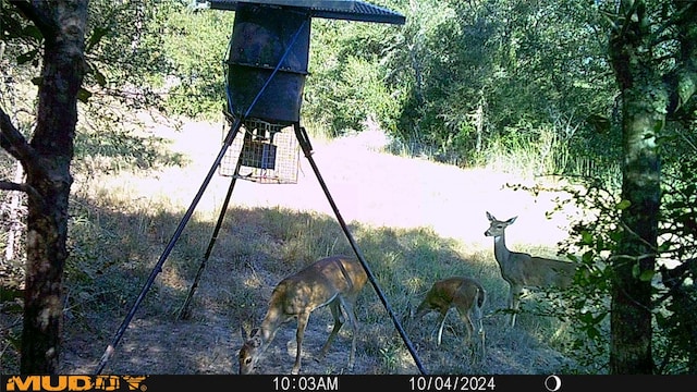 0 Sandy Creek Rd, Garwood, TX 77442