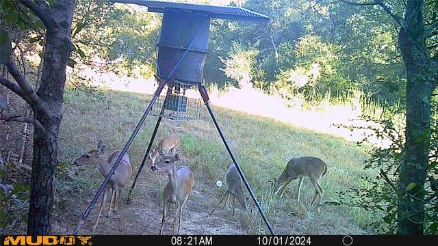 0 Sandy Creek Rd, Garwood, TX 77442