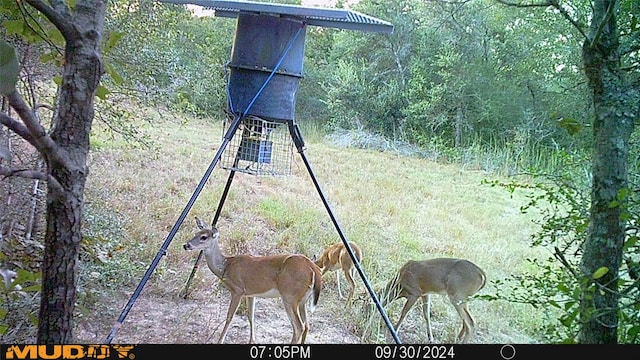 0 Sandy Creek Rd, Garwood, TX 77442