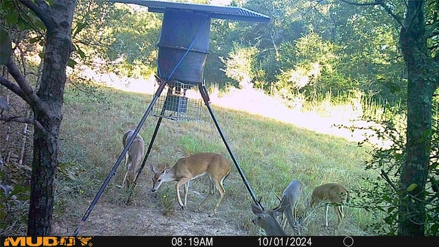 0 Sandy Creek Rd, Garwood, TX 77442
