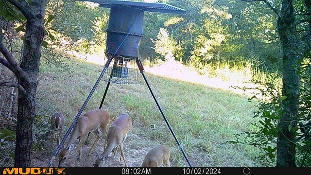 0 Sandy Creek Rd, Garwood, TX 77442