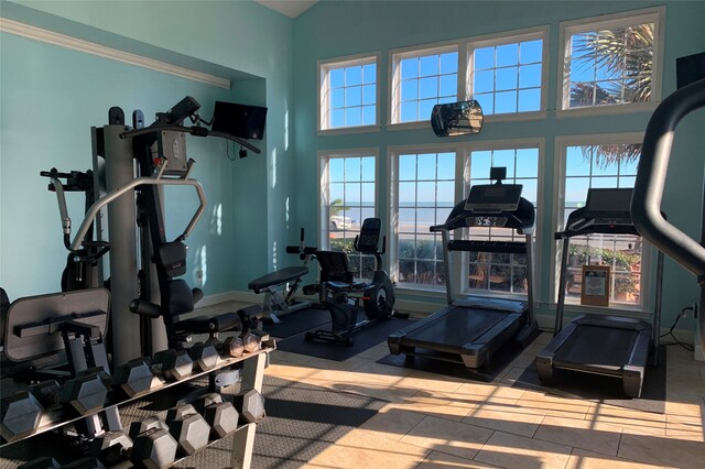 exercise room featuring plenty of natural light, crown molding, and a towering ceiling