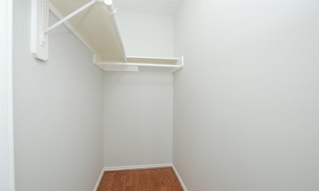 spacious closet with hardwood / wood-style flooring