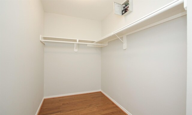 walk in closet with wood-type flooring