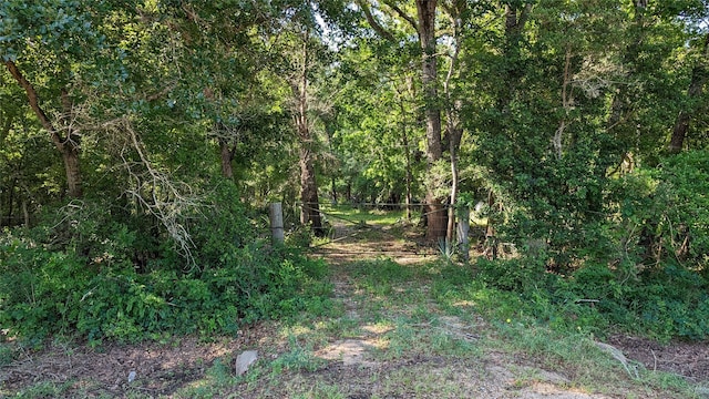 0000 Sawmill Rd, Needville TX, 77461 land for sale