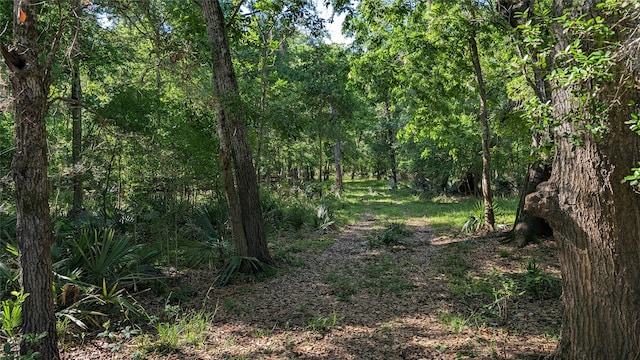 Listing photo 2 for 0000 Sawmill Rd, Needville TX 77461