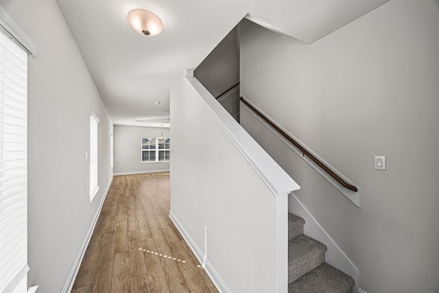 stairs featuring hardwood / wood-style floors