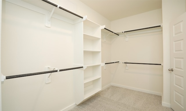 spacious closet with light colored carpet