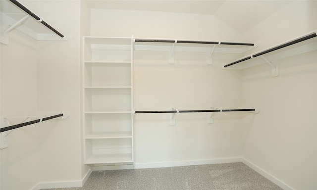 walk in closet with carpet flooring