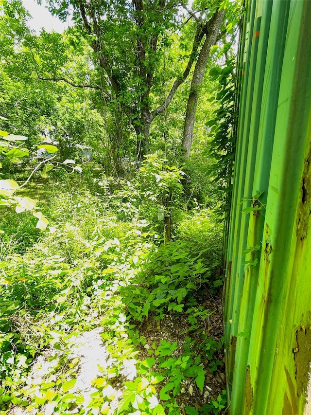 view of local wilderness