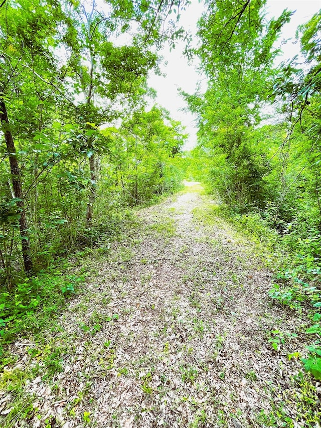 view of road