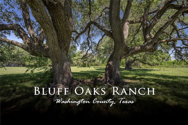 15140 Bluff Rd, Washington TX, 77880 land for sale