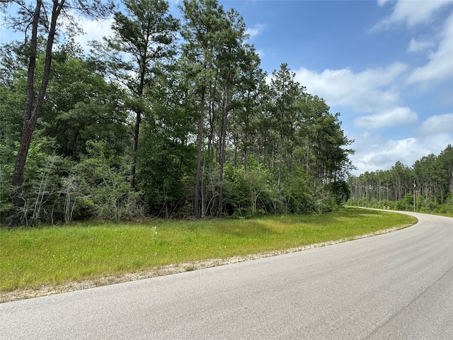 Listing photo 3 for 12-22-54 Grey Feather Rd, Huntsville TX 77340