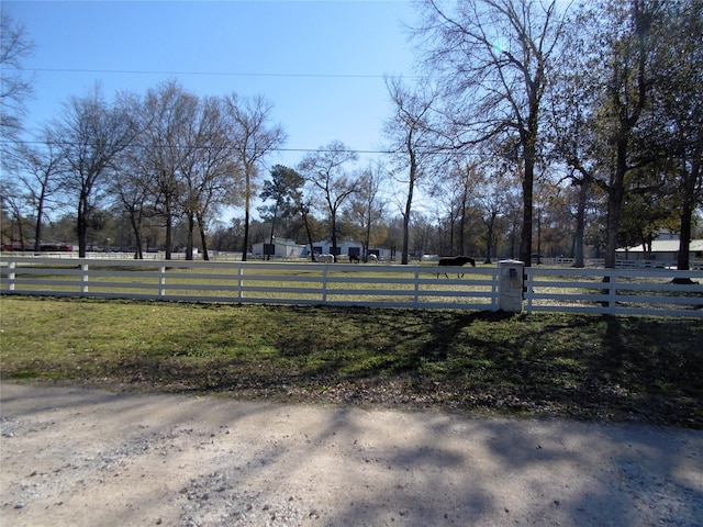 view of yard featuring a rural view