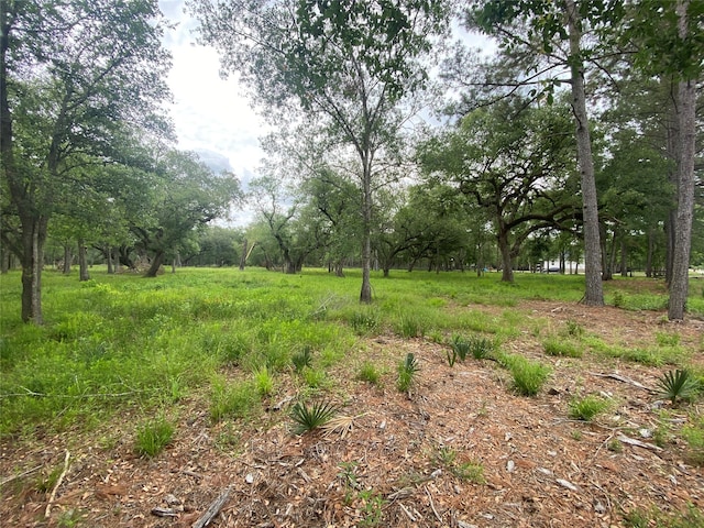 Listing photo 2 for 20703 Forest Rd, Damon TX 77430