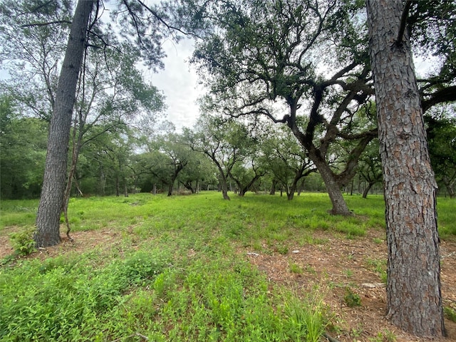 Listing photo 3 for 20703 Forest Rd, Damon TX 77430