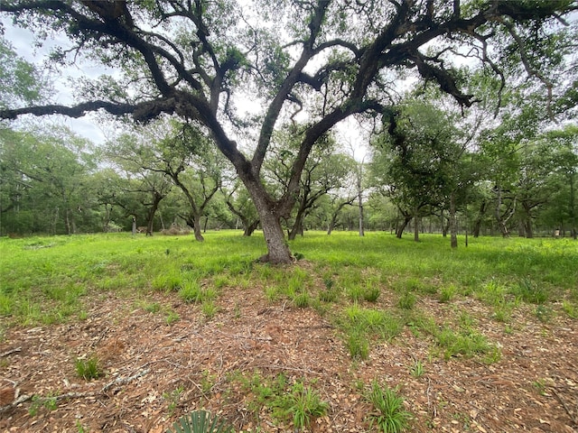 20703 Forest Rd, Damon TX, 77430 land for sale