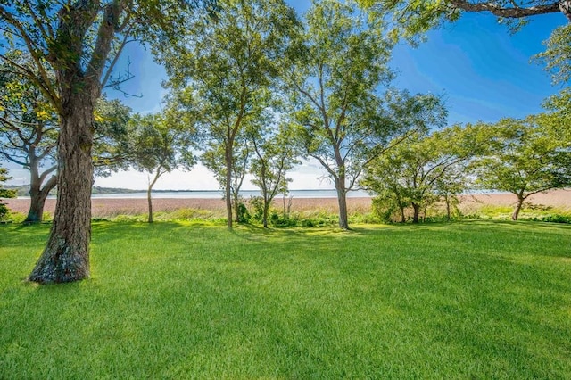 view of yard with a water view