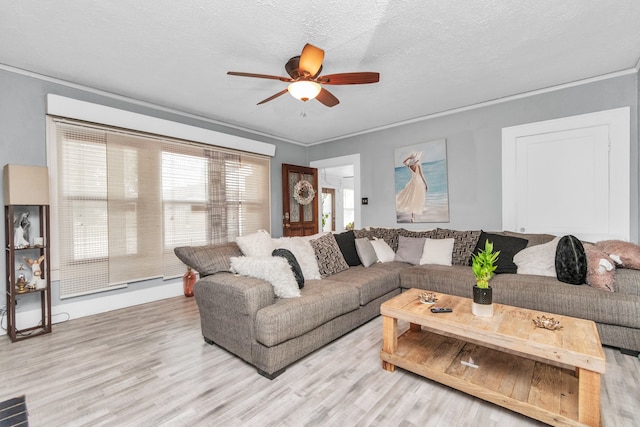 living room featuring ornamental molding, a healthy amount of sunlight, ceiling fan, and light wood-type flooring