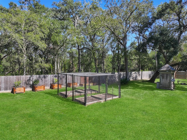 view of yard with a storage shed