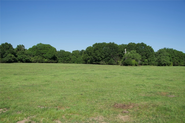 Listing photo 3 for TBDTRACT10 Saint Delight Rd, Paige TX 78659