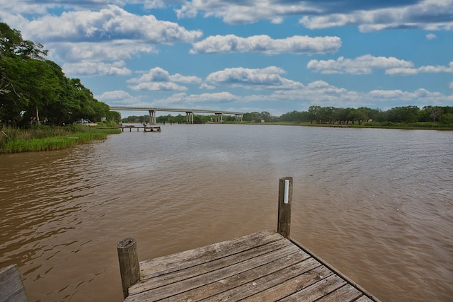 dock area with a water view