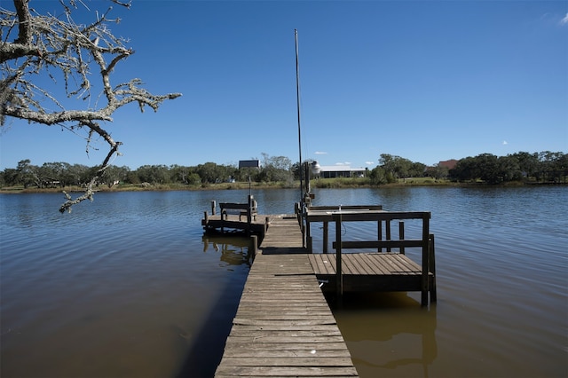 dock area with a water view