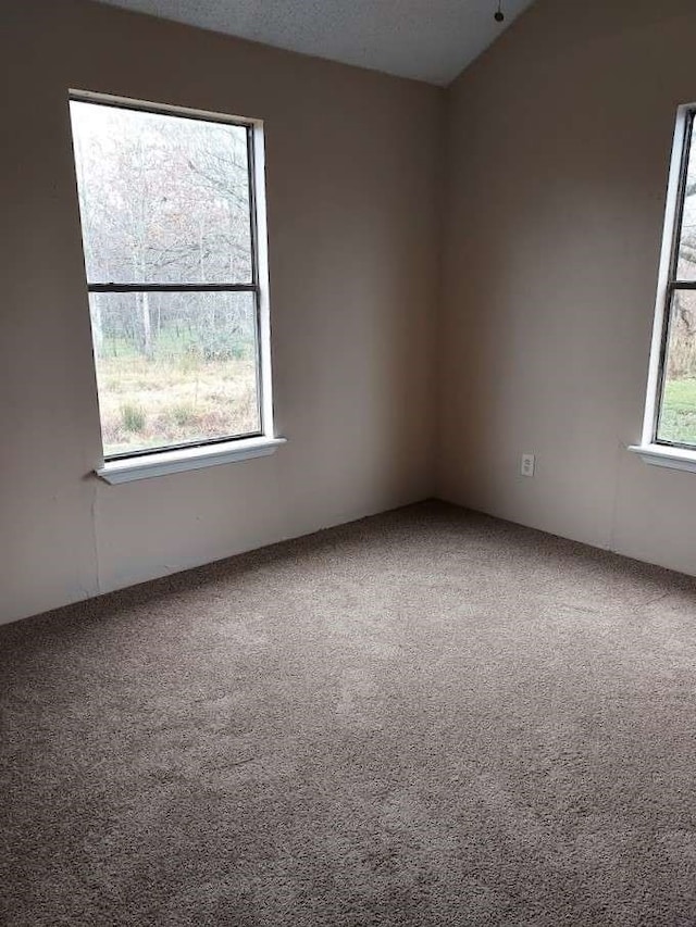 carpeted spare room with a textured ceiling