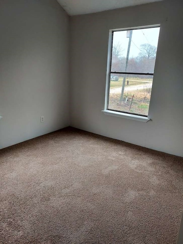 empty room with a wealth of natural light and carpet flooring