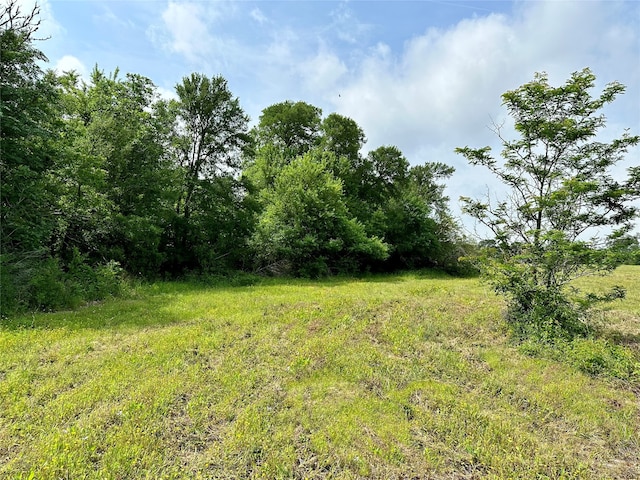 Listing photo 3 for 0000 Quarry Rd, Brenham TX 77833